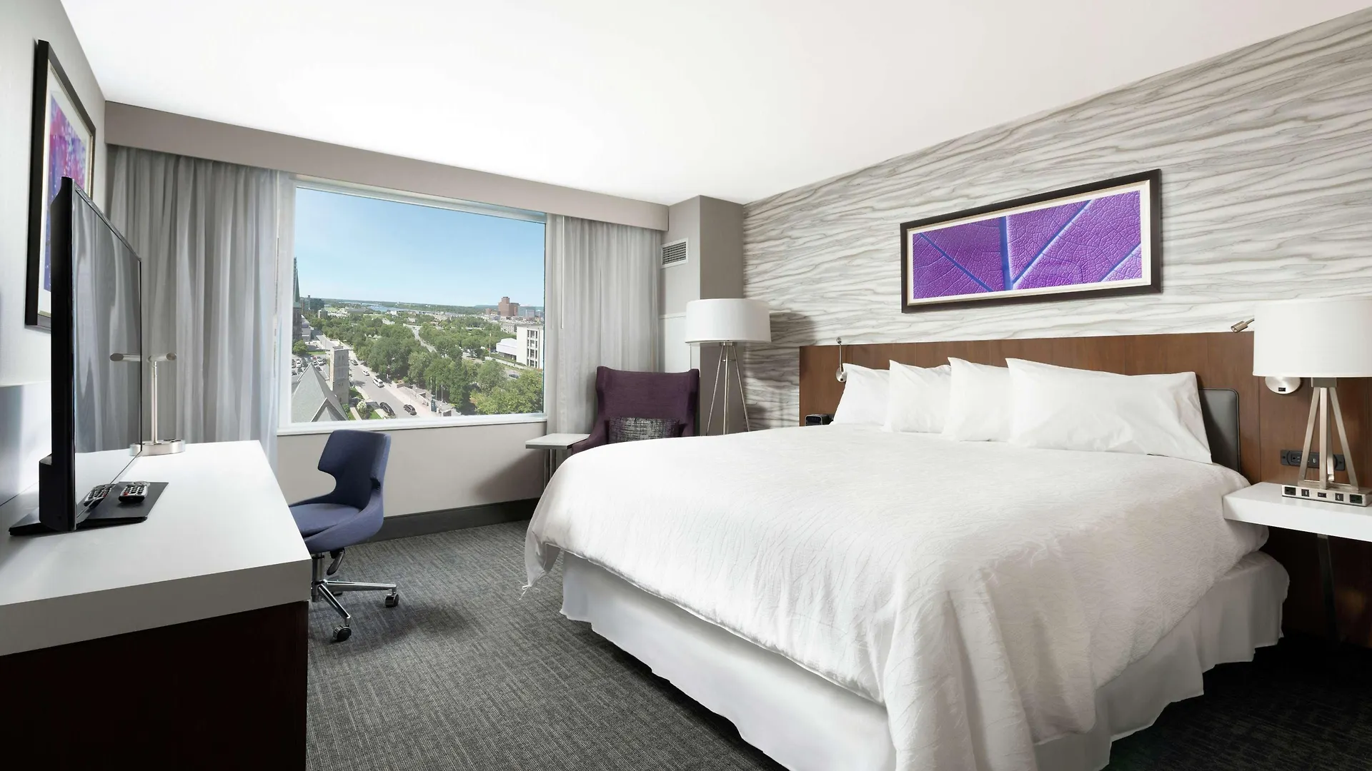 Hilton Garden Inn Ottawa Downtown