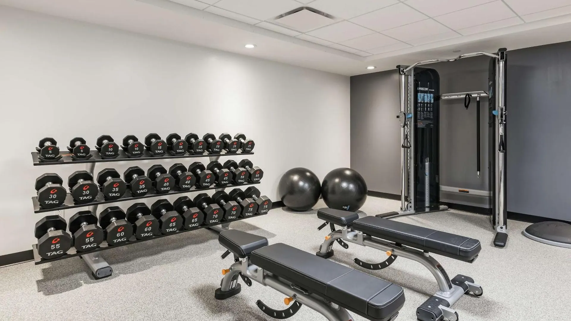 Hilton Garden Inn Ottawa Downtown Hotel