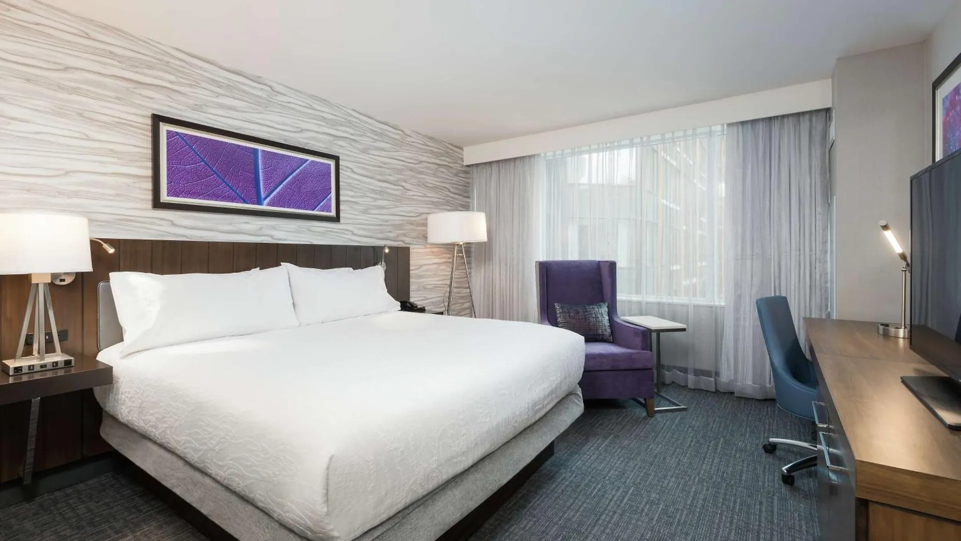 Hotel Hilton Garden Inn Ottawa Downtown