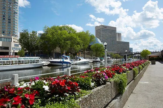 Hilton Garden Inn Ottawa Downtown
